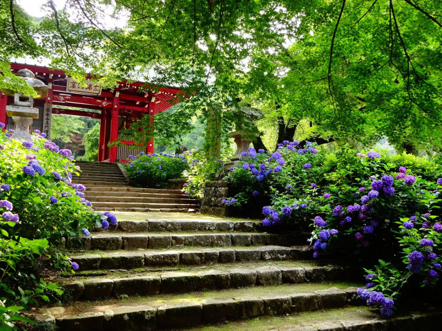 大雄山最乗寺【南足柄市】